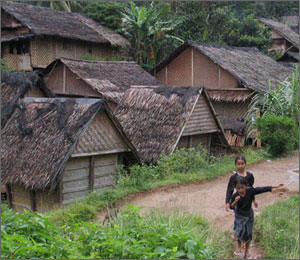 Traditional Villages