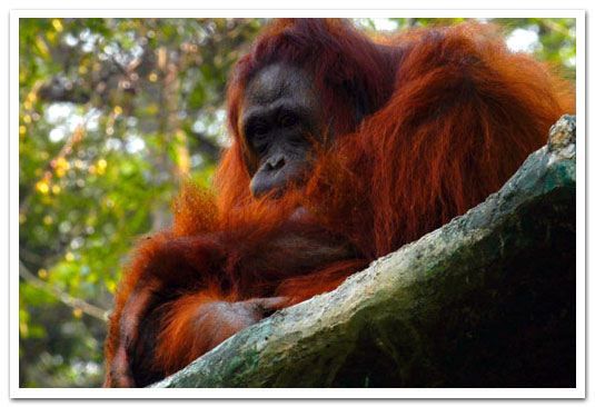 Discover-information